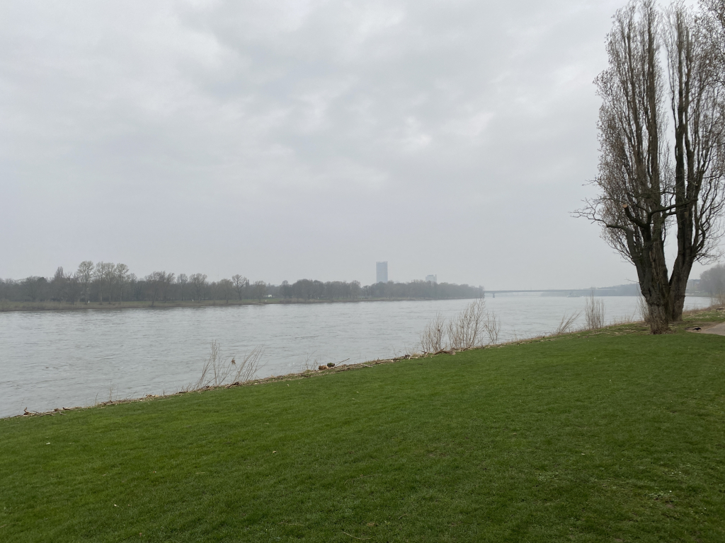 2024-03-05 Rhein 0056 k.JPG